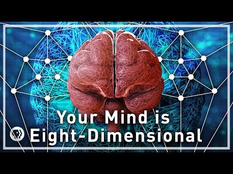 Your Mind Is Eight-Dimensional - Your Brain as Math Part 3 | Infinite Series