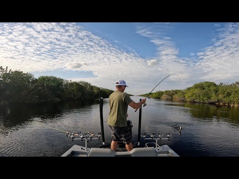 Trolling for Perch with 15ft Poles! Catch & Cook