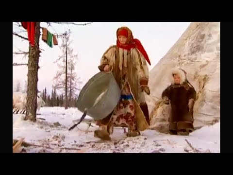 north nomad life: reindeer for diner, home chores in tundra