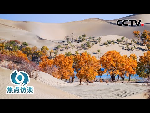 沙漠里种玫瑰、盐碱池里养海鲜？他们在新疆爆改沙漠！| CCTV「焦点访谈」20250804