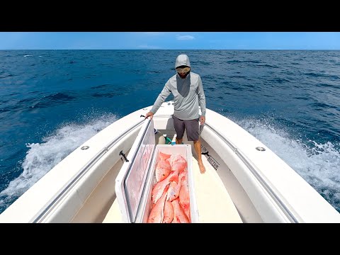 Solo Commercial Snapper Trip - Not As Planned - Catch & Sell