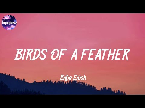 Billie Eilish - BIRDS OF A FEATHER (lyrics)