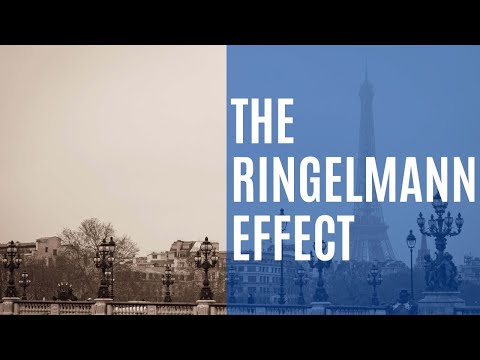 Are people naturally lazy? | The Ringelmann Effect | Crazy Science #3