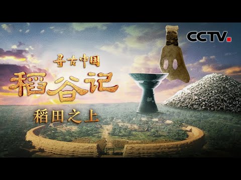 河姆渡考古打破水稻印度起源说，出土稻谷距今约7000年，首次证实水稻起源于中国！《稻谷记·稻田之上》| CCTV「寻古中国」20230816