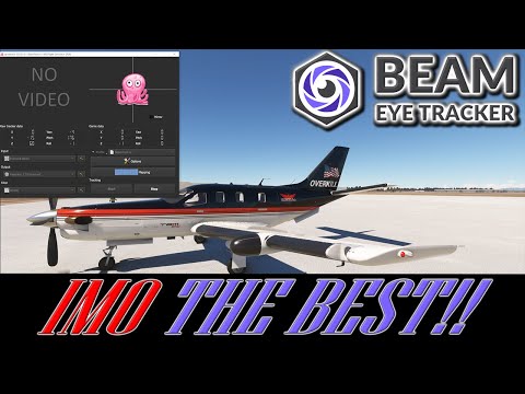 The BEST Head and Eye Tracking Is CHEAP! | MSFS DCS Xplane