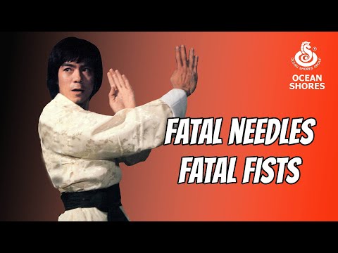 Wu Tang Collection - Fatal Needles Fatal Fists