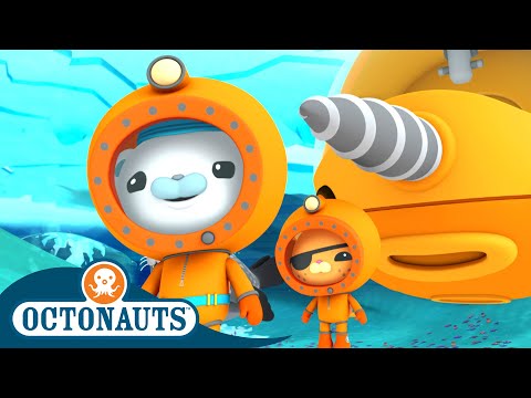 @Octonauts - 🐻‍❄️ The Great Arctic Adventure ❄️ | Series 3 | Winter Special! | Cartoons for Kids