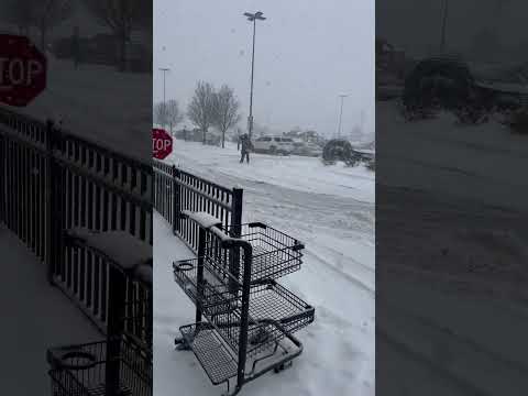 Snowy Day in Buffalo Let it Snow