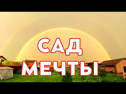 как посадить плодовый сад, подготовка почвы, выбор саженцев и места, способа посадки или сад мечты
