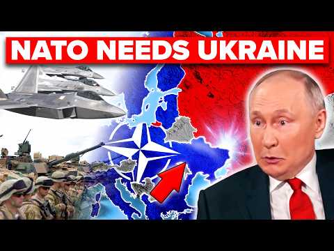 If Ukraine Joins NATO Today... This is What Happens NEXT