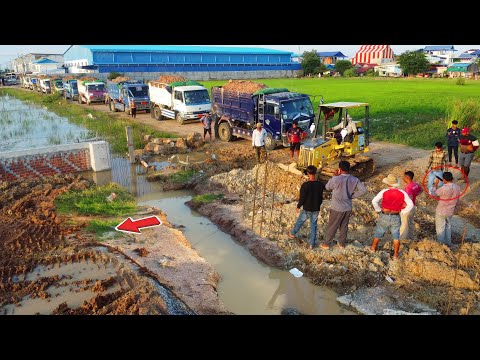 Starting an Incredible Task! Expert Dozer Teamwork with Truck Fill Land, Technique Bulldozer Pushing