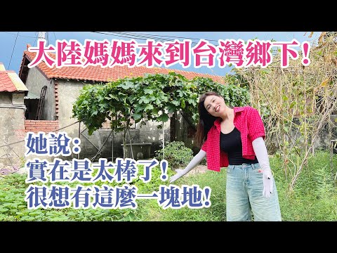 大陸媽媽第一次來到台灣鄉下！她說：實在是太棒了！遍地都是寶！也很想有這麼一塊地！【台灣媳婦欣兒】