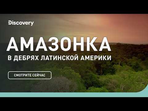 Амазонка | В дебрях Латинской Америки | Discovery Channel