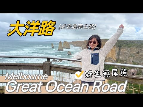 墨爾本大洋路 The Great Ocean Road 兩天一夜自駕旅行  •  尋找野生無尾熊攻略！超壯觀景色一次看｜Melofunplay 美樂玩不累