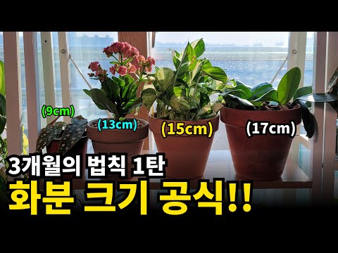 The three-month rule and the formula for pot size.