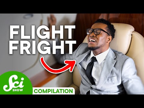 Why Flying Makes Us Panic | SciShow Compilation