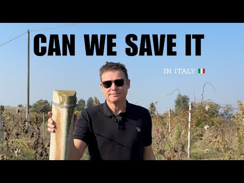 Walk through our abandoned vineyard I This is our 200 year old farmhouse in Italy🇮🇹