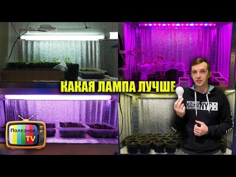 SEEDLINGS LIGHTING! I'VE TRIED ALL TYPES OF LAMPS ON MY SEEDLINGS AND WAS STUNNED BY THE RESULTS!...