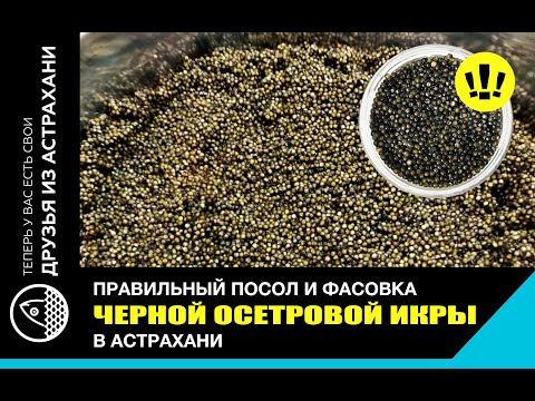 ПОСОЛ ЧЕРНОЙ ОСЕТРОВОЙ ИКРЫ. ЧАСТЬ 2.