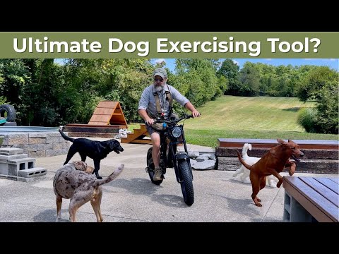 I'm Sold On These Electric Bikes | WindOne E2 Electric Bike Review