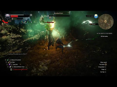 The Witcher 3: Wild Hunt - In The Heart of The Woods