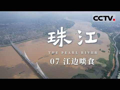 《珠江》07 江边啖食：你知道广东人给菜起名有多讲究？中国古代最大水利工程在广东【CCTV纪录】