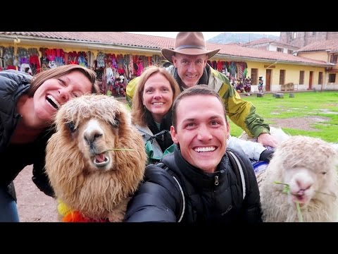 ALPACA SELFIES with SPECIAL GUESTS :)
