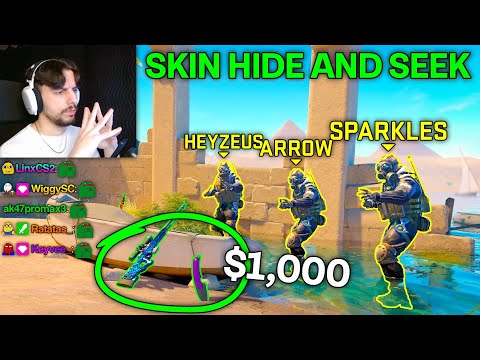 FIND THE SKINS CHALLENGE ft. Sparkles, ArrowCS & Heyzeus