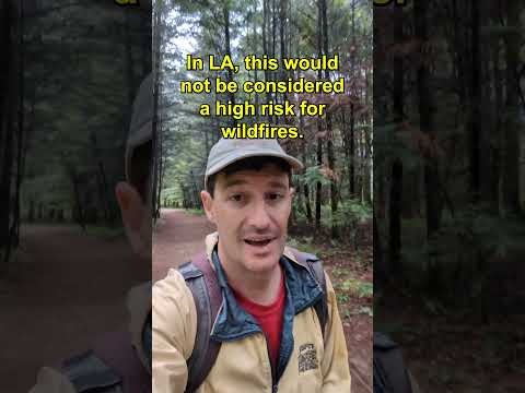 I went to the strangest border town