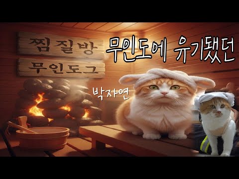 고양이들에게 찜질방을 만들어줬다