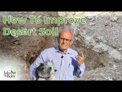 How To Improve Caliche Soil (Desert Gardening)