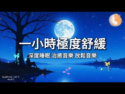 【100%無廣告放鬆音樂】一小時極度舒緩｜深度睡眠 治癒音樂 放鬆音樂｜一小時鋼琴音樂