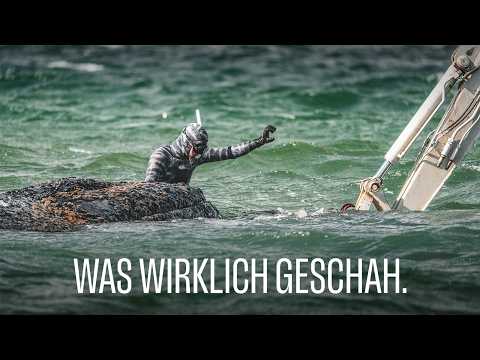 Die Wahrheit über Wal "Timmy" und warum er wahrscheinlich sterben muss