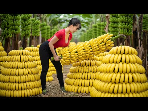 [TIMELAPSE] --368 Days Harvesting Many Banana, Lemon, Melon, Eggplant and Sugarcane Go To Sell