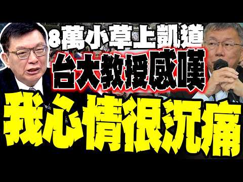 8萬小草上凱道! 台大教授看柯文哲心緒複雜:搞政治竟落得這般田地 這不是我引以為傲的台灣