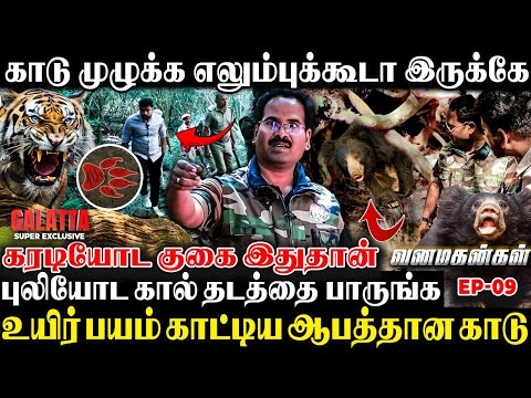 புலி தண்ணி குடிக்க வந்தப்போ தான் அந்த சம்பவம் நடந்திருக்கு😢😱திரும்ப வந்தா தப்பிக்க முடியாது🤯 | EPI 9