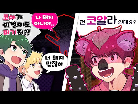 짜잔 무서운 돼지가 아닌 놀랍게도 코아알라 입니당 ㅎㅎ