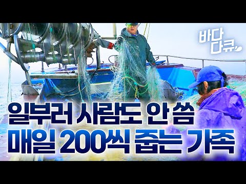 저녁 반찬도 줍고 돈도 벌고. 겨울만 되면 3명이서 돈 쓸어 담는 가족 / 만선 대구잡이 / #바다다큐