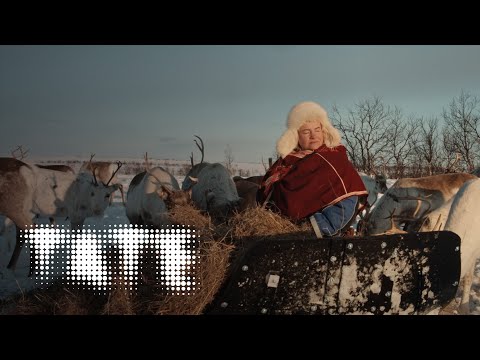 Máret Ánne Sara – 'New strategies for life on this planet' | Tate