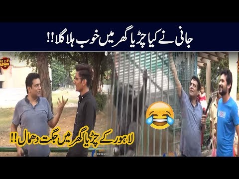 Jani Ka Lahore Zoo Mein Halla Gulla Or Jugtain!! | Seeti 42 | City 42