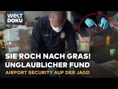 AIRPORT SECURITY: Zoll findet Drogen, Bargeld & Fakes – dramatische Festnahmen an US-Flughafen!