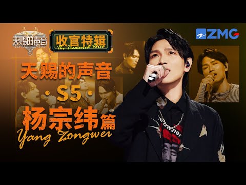 【杨宗纬高光回顾】杨宗纬一出场“布洛芬”都不知道哪疼 千万别轻易让这个男人唱情歌 一开口故事感拉满 | 天赐的声音 收官特辑