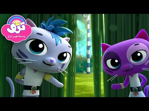 سر النينجا كات دوجو! 😼🥋 6 حلقات كاملة 🌈 ترو ومملكة قوس قزح 🌈