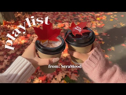 [playlist] Cozy & aesthetic cafe music ☕ 8-hour Lo-fi, R&B pop BGM