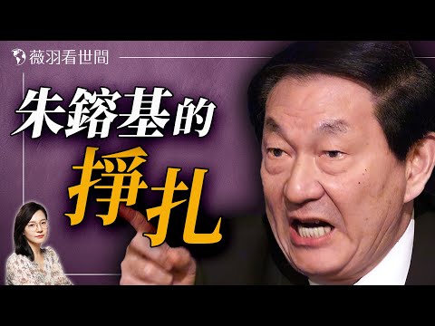 清官還是權臣？「經濟沙皇」的背後，隱藏著怎樣的真相？｜薇羽看世間 20241211