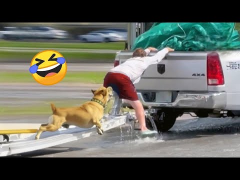 Viral Fails 2025 🚨 Try Not To Laugh | Best of the Year