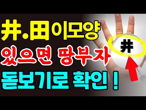 돋보기로 찾아보세요. 손바닥에 '이 문양(井)' 보이면 무조건 땅 사세요. (부동산 대박)