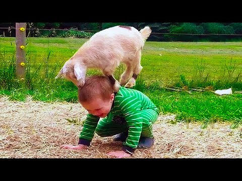 Kids Funny Moments At The Zoo | TRY NOT TO LAUGH Funny Video