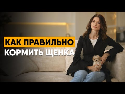 How to feed your puppy properly. Important recommendations on nutrition and food selection.