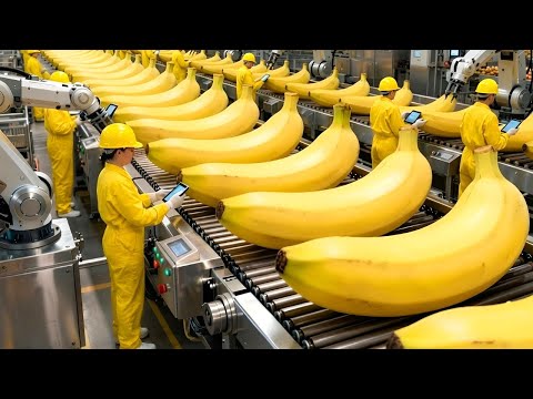 Inside The Factory: A Glimpse Inside An Incredible Automated Banana Bread Production Plant